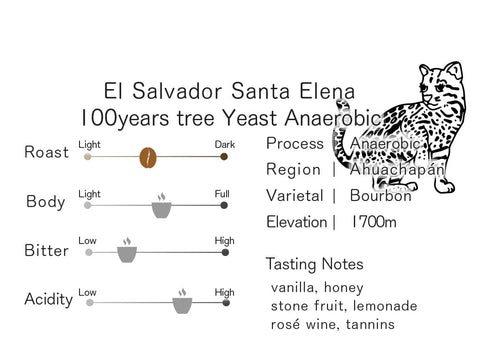 [imm coffee] El Salvador Santa Elena / Ethiopia Benti Nenqa Washed